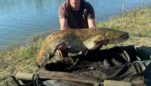 A catfish from Beaurepaire, David Coan, May 2025