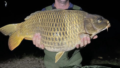 A 33 lb carp from Blue Lake, Karl Domm, Sep 2023
