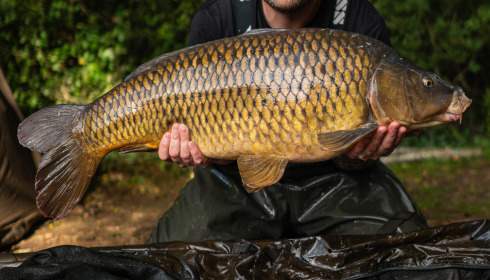 A carp from Blue Lake, Mark Williams, Aug 2023