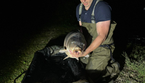 A 62 lb carp from Blue Lake, Elliot Franks, Oct 2023
