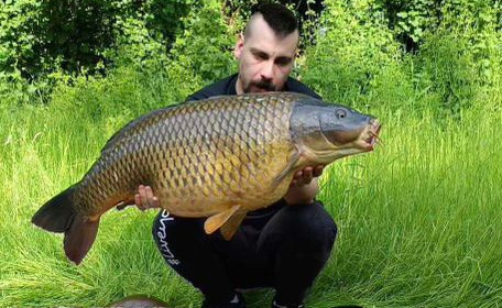 A carp from Blue Lake, May 2024