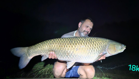 A grass carp from Blue Lake, May 2024
