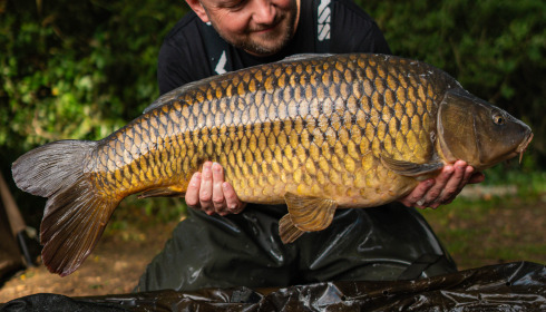 A carp from Blue Lake, Mark Williams, Aug 2023