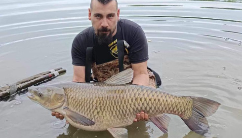 A carp from Blue Lake, May 2024