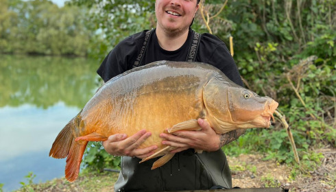 A 52 lb carp from Blue Lake, Bradley Franks, Oct 2023
