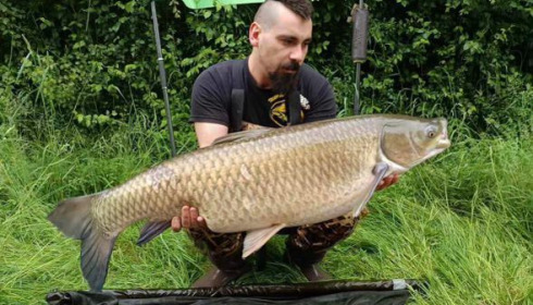 A carp from Blue Lake, May 2024