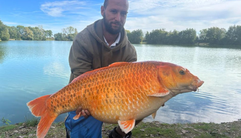 A 36 lb carp from Blue Lake, James Fortune Gilbert, Oct 2023