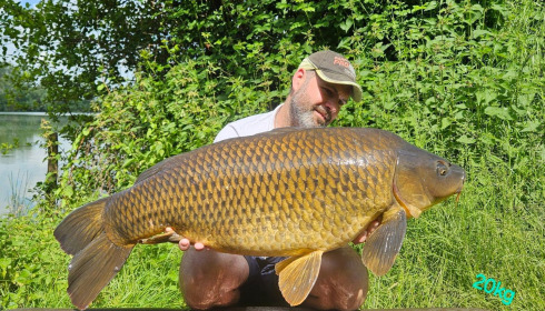 A 44 lb carp from Blue Lake, May 2024