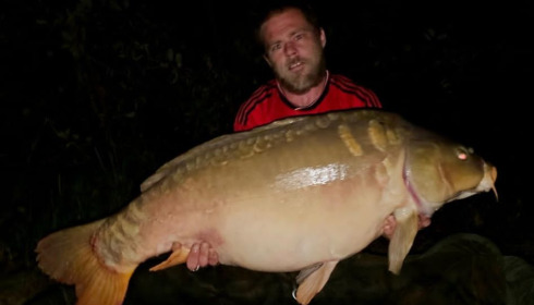 A fish from Brie, Oct 2023