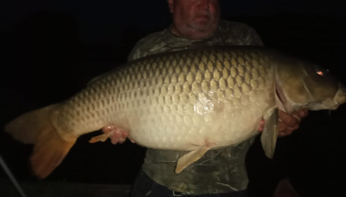 A 52 lb 8 oz fish from Brie, Oct 2023