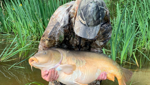 A 58 lb carp from Brie, David Gates, Jun 2024