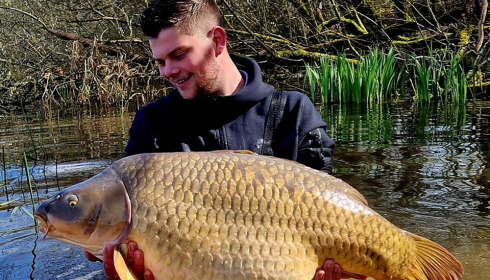 A carp from Brie, Mar 2024