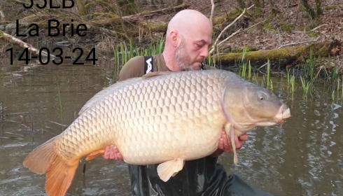 A carp from Brie, Mar 2024