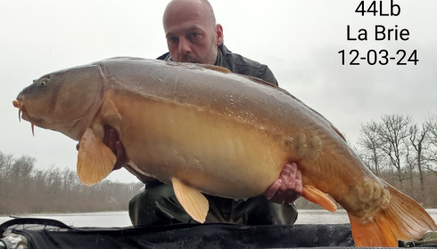 A carp from Brie, Mar 2024