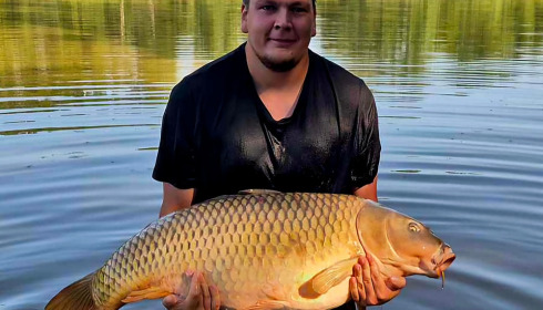 A carp from Brie, Aug 2024