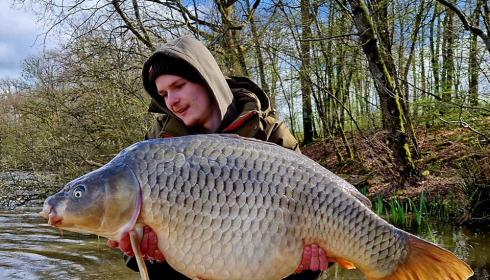 A carp from Brie, Mar 2024