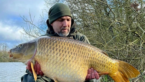 A carp from Brie, Mar 2024