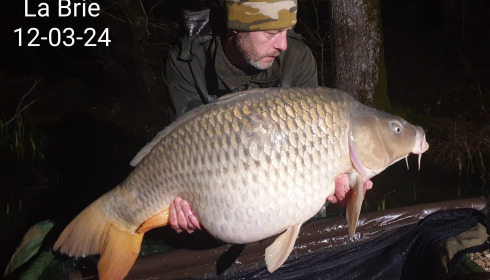 A carp from Brie, Mar 2024