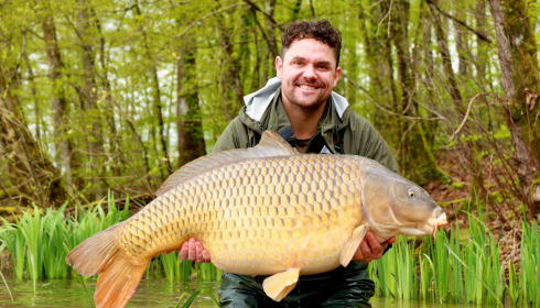 A carp from Brie, Apr 2024
