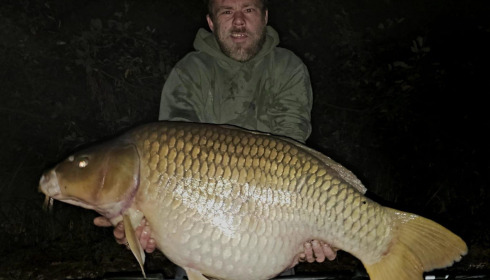 A fish from Brie, Oct 2023