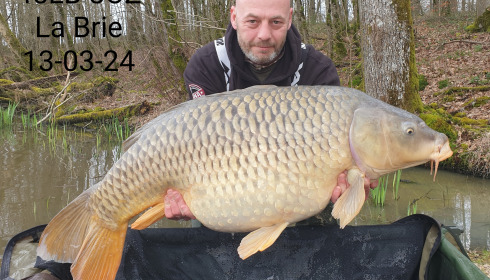 A carp from Brie, Mar 2024