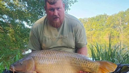 A carp from Brie, Aug 2024