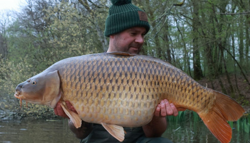 A carp from Brie, Apr 2024
