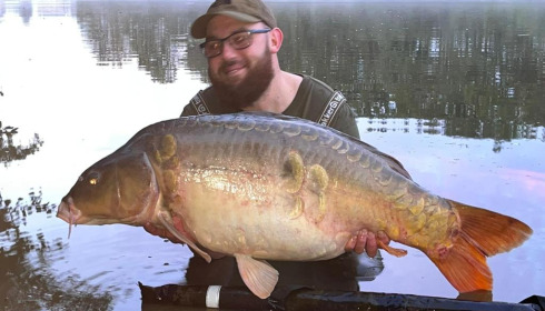 A fish from Brie, Oct 2023