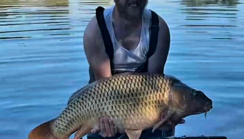 A carp from Brie, Aug 2024