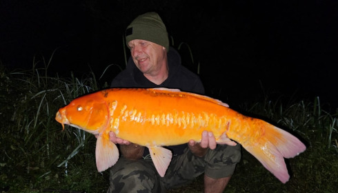 A carp from Brie, Sep 2023