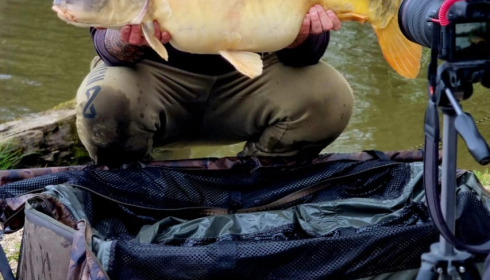 A carp from Brie, Apr 2024