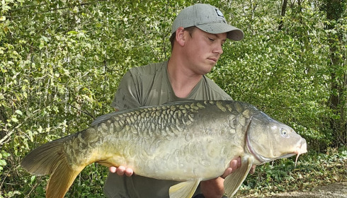 A carp from Brocard Large, Oct 2023