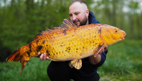 A fish from Brocard Large, Apr 2024