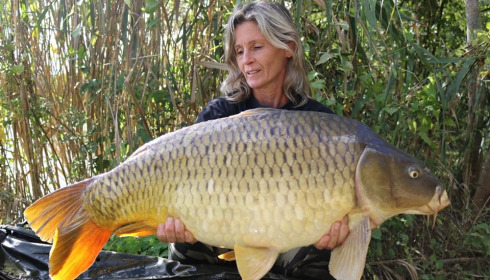 A carp from Brocard Large, Oct 2023