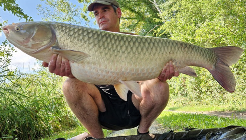 A grass carp from Brocard Large, Aug 2023