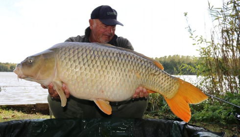 A carp from Brocard Large, Oct 2023