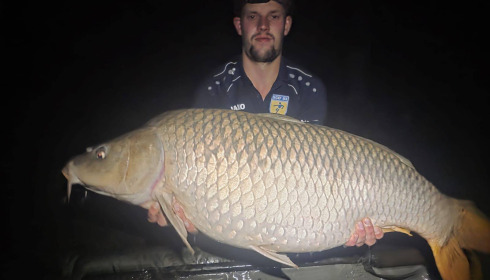 A carp from Brocard Large, Jun 2025