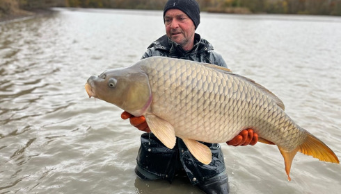 A carp from Brocard Large, Nov 2024