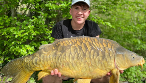 A carp from Brocard Large, Apr 2024