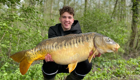 A carp from Brocard Large, Apr 2024