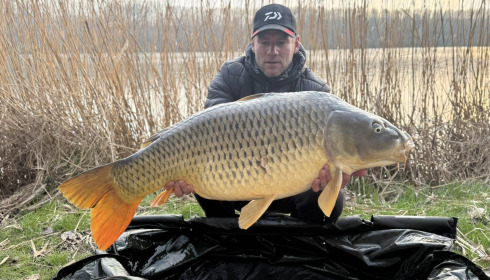 A fish from Brocard Large, Mar 2025