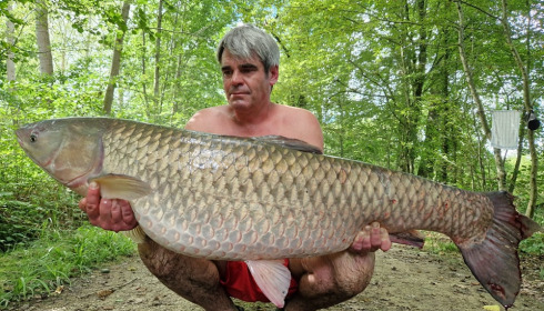 A grass carp from Brocard Large, Aug 2024