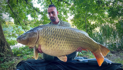 A carp from Brocard Large, Sep 2024