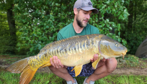 A carp from Brocard Large, Aug 2023