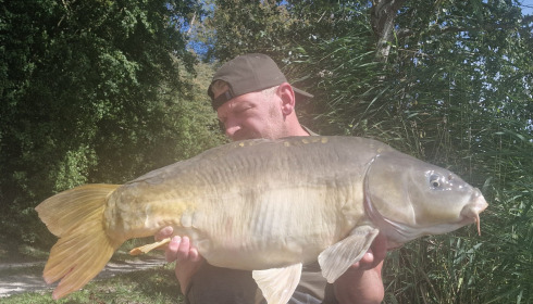 A carp from Brocard Large, Sep 2025