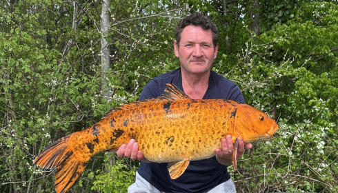 A carp from Brocard Large, Apr 2025