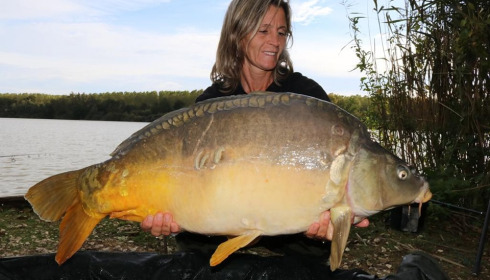A carp from Brocard Large, Oct 2023
