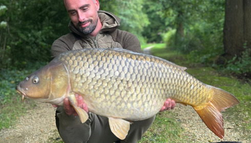 A carp from Brocard Large, Sep 2024