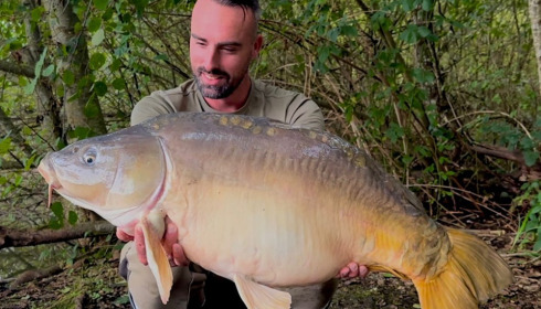 A carp from Brocard Large, Sep 2024