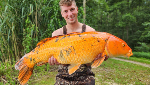 A carp from Brocard Large, Aug 2023